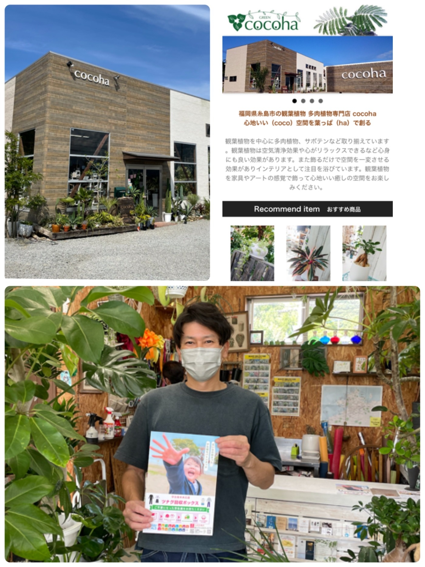 Cocoha 多肉植物専門店 九州糸島店 子どもの未来国民運動 さくらや さくらや